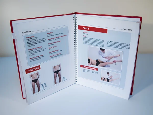 Applied Kinesiology book-gallery image