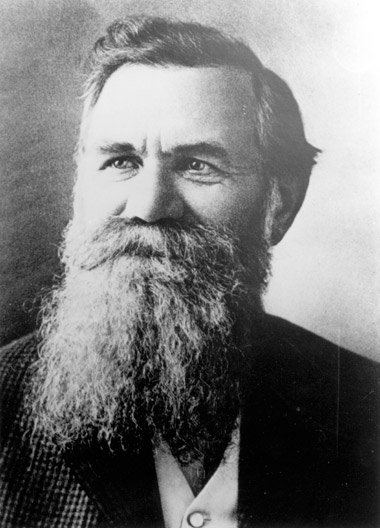 ddpalmer